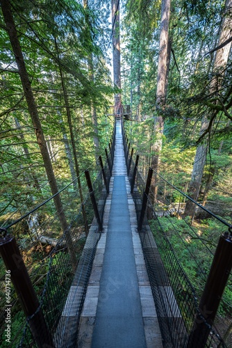 Fototapeta Naklejka Na Ścianę i Meble -  Capilano Suspension Bridge Park in Vancouver, BC