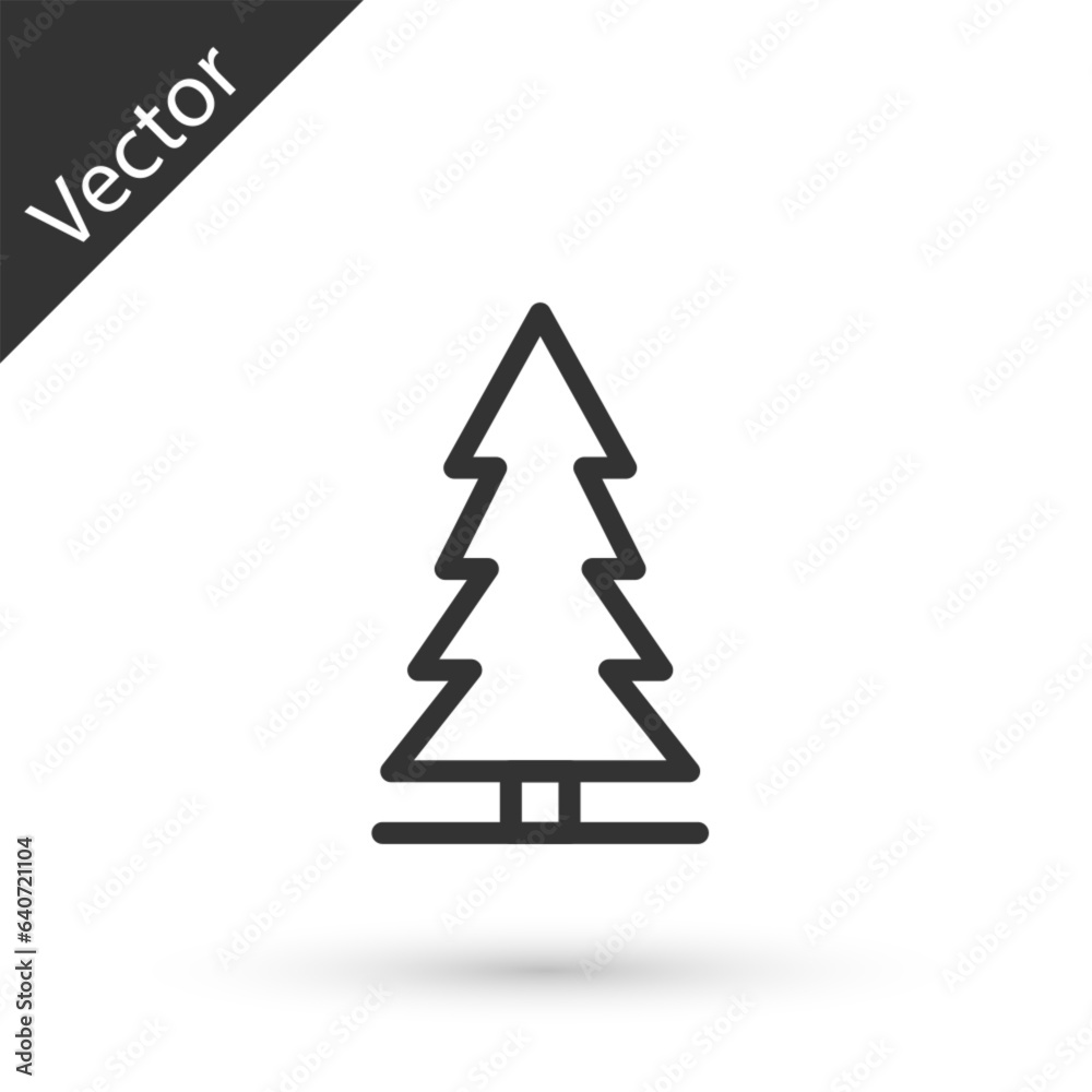Grey line Canadian spruce icon isolated on white background. Forest spruce. Vector
