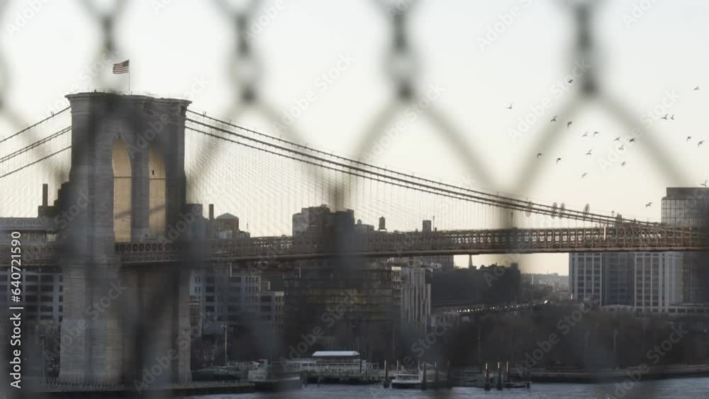 Birds flying over Brooklyn Bridge at dusk