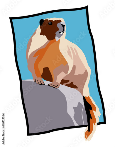 Marmot on Rock