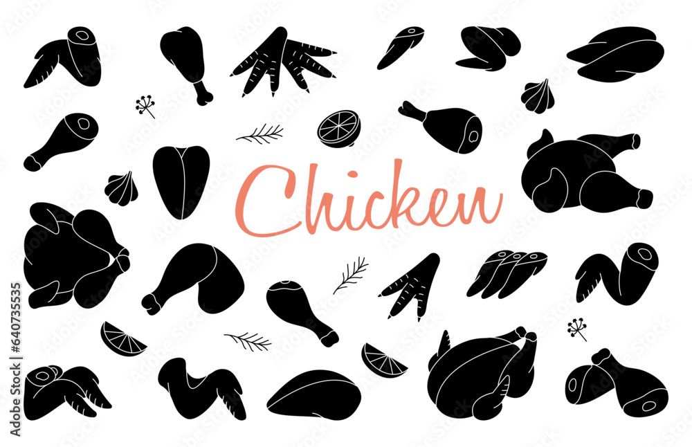 Chicken meats part set. Butcher shop. Chicken farming products. Whole chicken, brisket wing, carcass, fillet, ham, leg, breast, shank, drumstick. Chicken meats part set. Butcher shop. Chicken farming products. Whole chicken, brisket wing, carcass, fillet, ham, leg, breast, shank, drumstick.