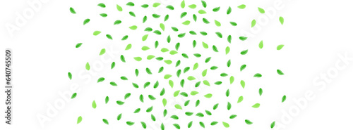Greenish Foliage Background White Vector. Vegetation Motion Card. Branch Design. Light Green Vibrant Frame. Plant Label.