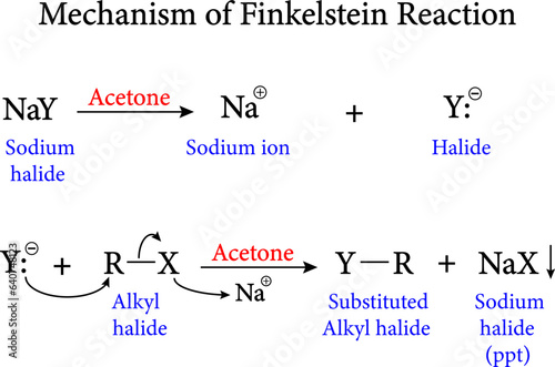 Mechanism of Finkelstein Reaction.Vector illustration 