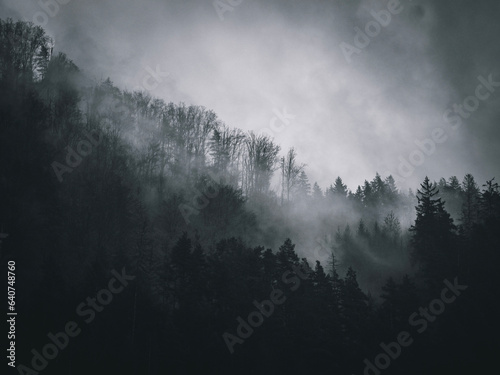 mist in the mountains