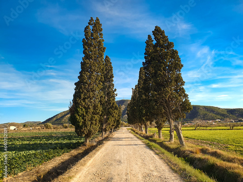 Vega Baja del Segura - Huerta en el entorno de Orihuela y sus pedanías