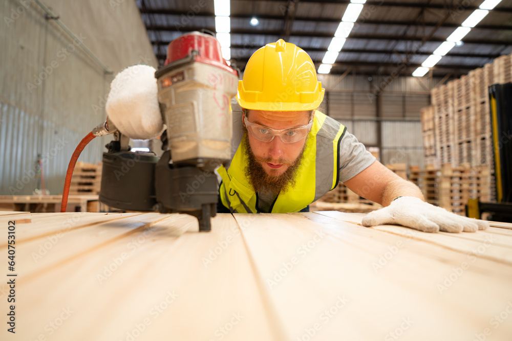Young workers working in a woodworking factory, Using a nailing machine to assemble wooden pallets Young workers working in a woodworking factory, Using a nailing machine to assemble wooden pallets