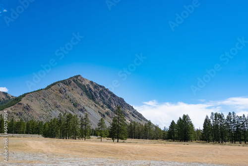 Beautiful mountain landscape, sunny day, blue sky with clouds, coniferous forest