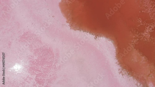 Aerial top-down view of the pink-colored salt lake called 'Hutt Lagoon' in Geraldton, Western Australia. Amazing deep red and pink colors of a lake caused by minerals and bacteria. Aerial, drone shot. photo
