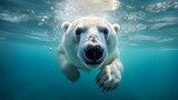 Auf dünnem Eis: Eisbären und ihr Überlebenskampf in der Arktis