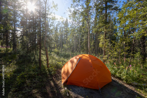 orange tent in a forest in Yukon Territory, Canada