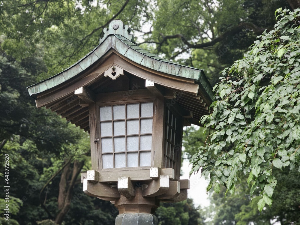 Yoyogi Park Yoshinoya Meiji Jingu Gyoen Plant Tree Chinese architecture Yoyogi Park Yoshinoya Meiji Jingu Gyoen Plant Tree Chinese architecture