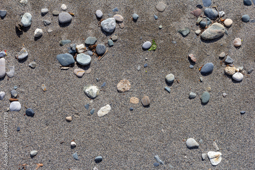 River bottom, shallow shore, sandy bottom and small fractions of stones.