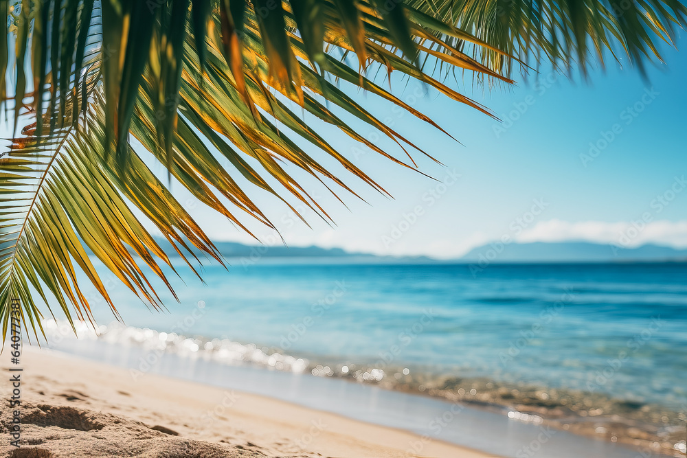 Sunny tropical beach with palm tree leaves representing summer vacation and tropical beach vibes 