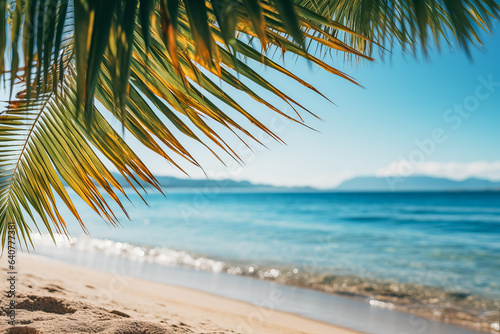 Sunny tropical beach with palm tree leaves representing summer vacation and tropical beach vibes 