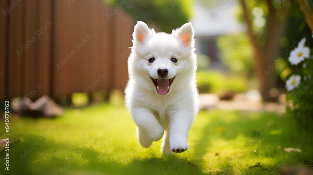 white dog running, Generative Ai white dog running, Generative Ai
