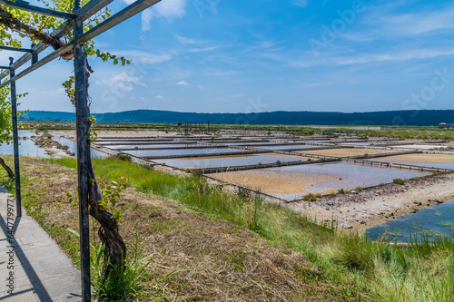 A view across crystallisation pools at the salt pans at Secovlje, near to Piran, Slovenia in summertime