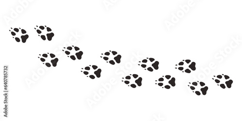 Fox paws. Animal paw prints, vector different animals footprints black on white illustration