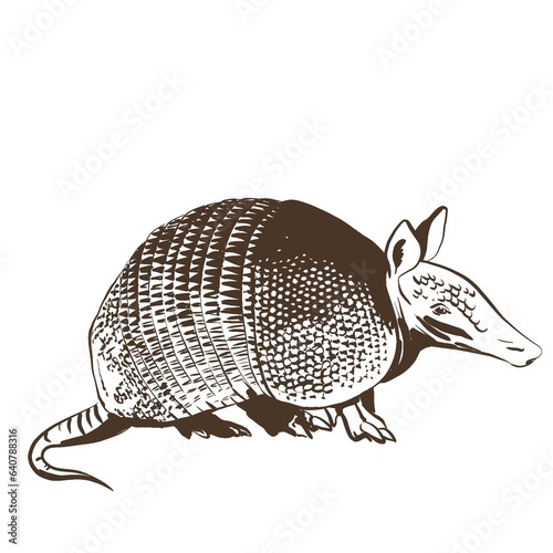 armadillo simple grey ink on white background sketch. isolated monochrome illustration for tattoo , logo or print 