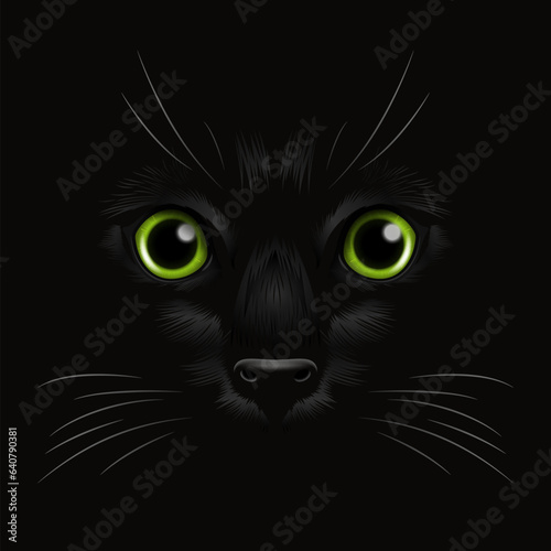 Vector 3d Realistic Green Cats Eye of a Black Cat in the Dark, at Night. Cat Face with Yes, Nose, Whiskers on Black. Cat Closeup Look in the Darkness. Front View