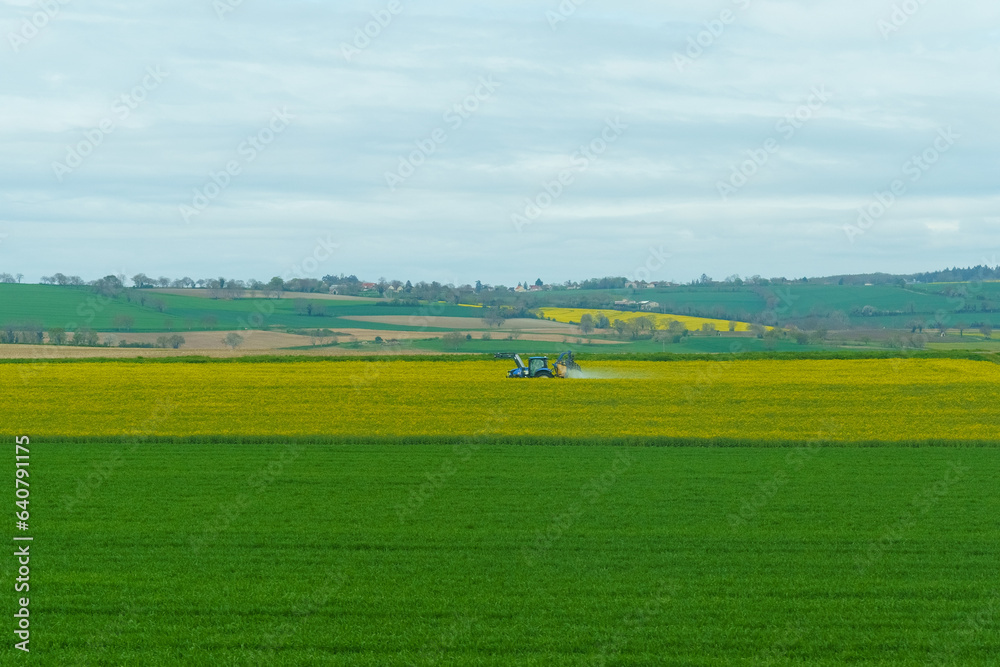 A tractor sprays chemicals on a yellow rapeseed field during flowering.