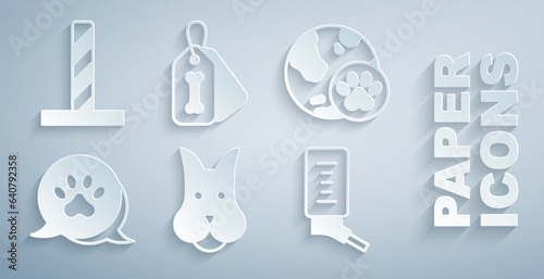 Set Dog, World pet, Paw print, Drinker for small pets, collar with bone and Cat scratching post toy icon. Vector
