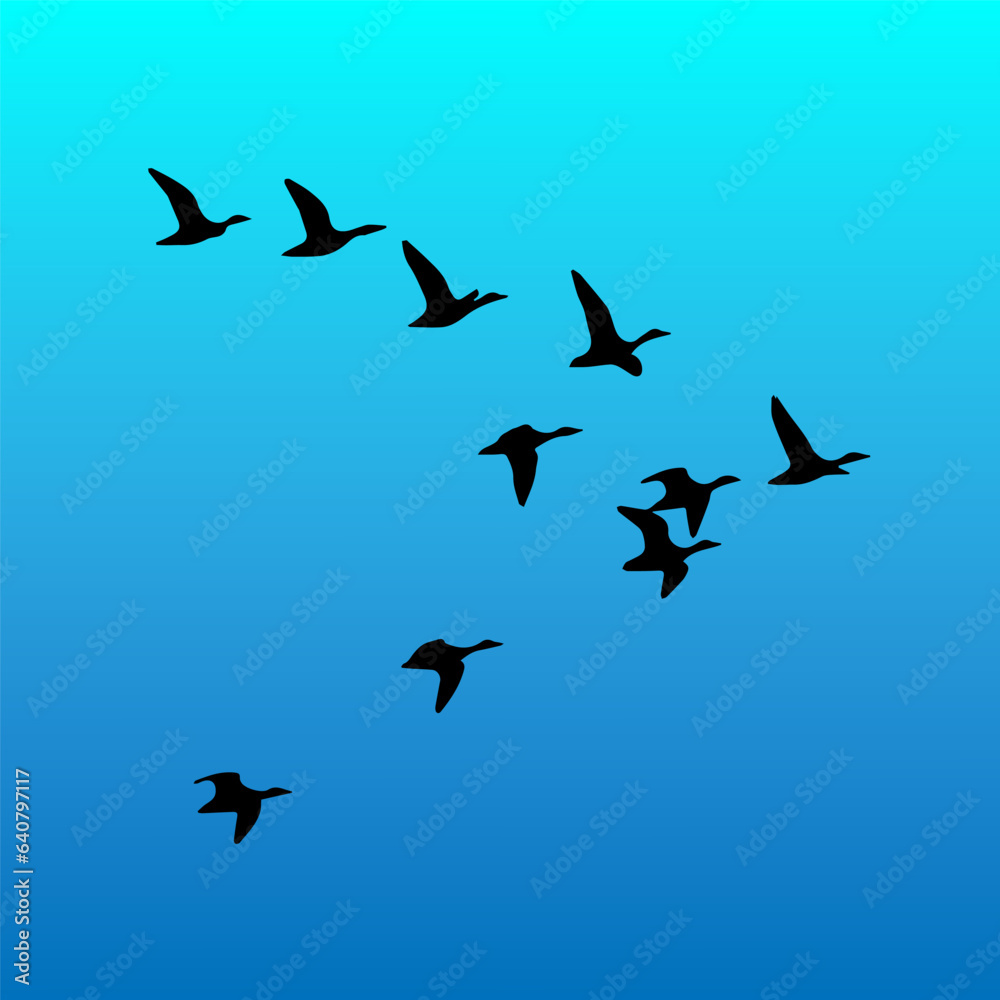 Obraz premium birds in the sky, silhouette art 