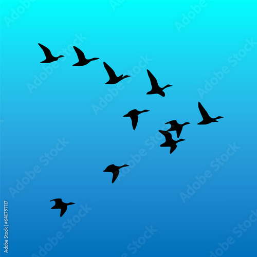 birds in the sky, silhouette art 
