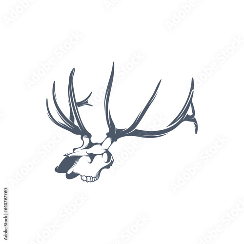 Head Deer bone vector illustration design. Head Deer logo design Template.
