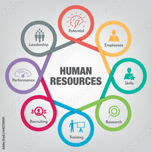 Responsibilities of Human Resources, Infographic with 8 step, Illustration,