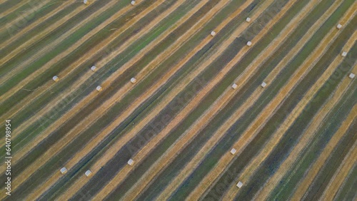Field with hay bales, bird's eye view