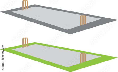 Cricket surface, pitch illustration
