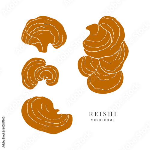 Set of hand drawn reishi medicinal mushrooms