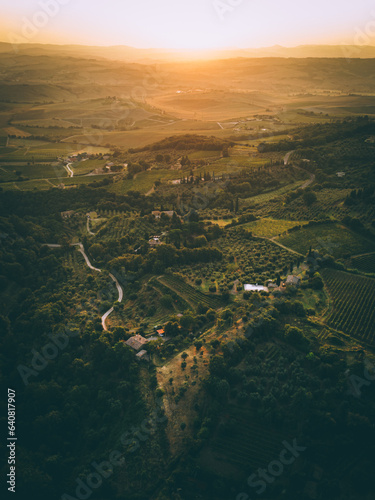 Luftbild von Weinbergen bei Montalcino in der Toskana