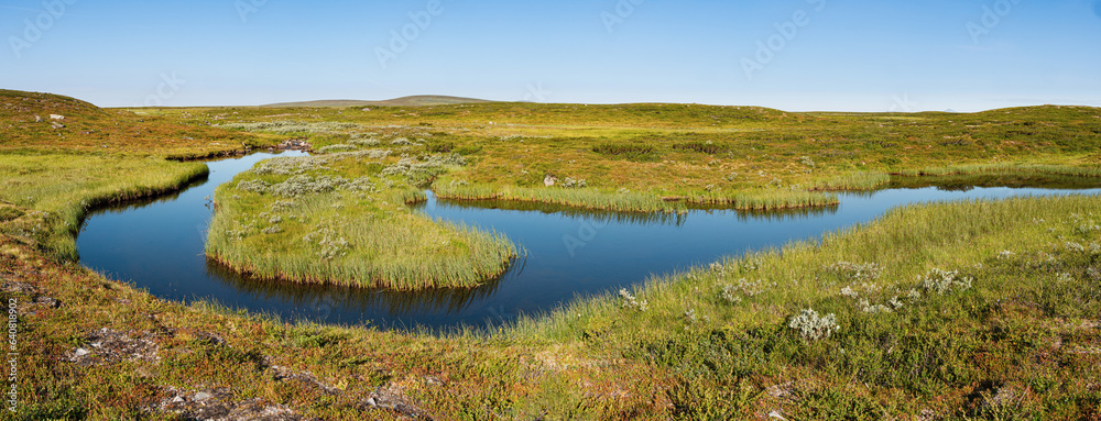 Landscape with meandering river on the Flatruet high altitude plateau, the fjäll, in the mountains of central Sweden