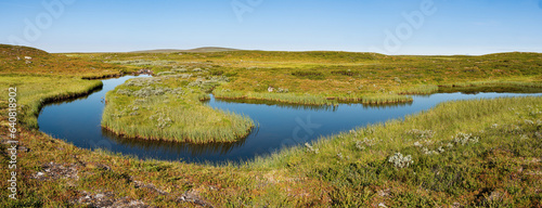 Landscape with meandering river on the Flatruet high altitude plateau, the fjäll, in the mountains of central Sweden