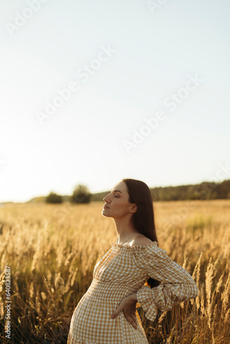 beautiful pregnant brunette woman stands sideways in the field. young pregnant woman enjoying the sun at sunset outdoors.