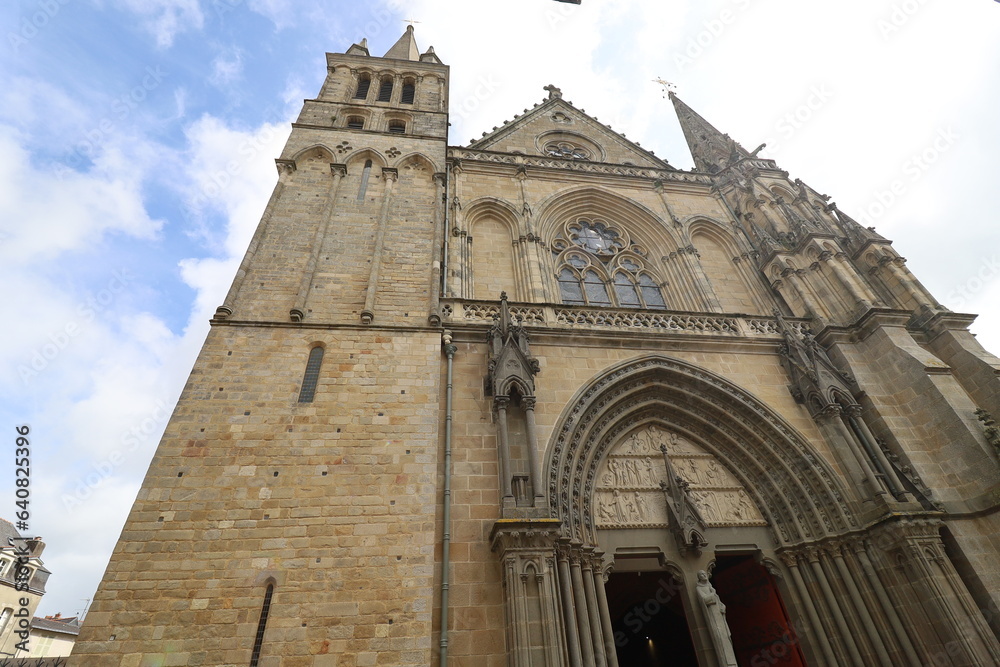 La cathédrale Saint Pierre, cathédrale gothique, ville de Vannes, département du Morbihan, Bretagne, France