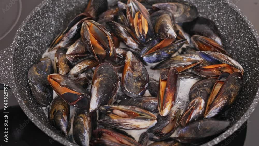 Cooking mussels in a pan at home. Mussels open up on the stove. Cooking mussels in a pan at home. Mussels open up on the stove.