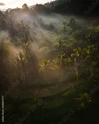 Bali s Rural Oasis  Aerial View of Foggy Sunrise  Palms  and Jungle in the Countryside. Discover Indonesia s Charming Vacation Haven in Asia