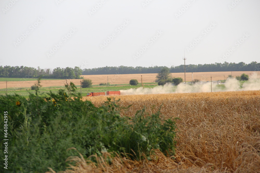 Wheat field and dust from agricultural machinery