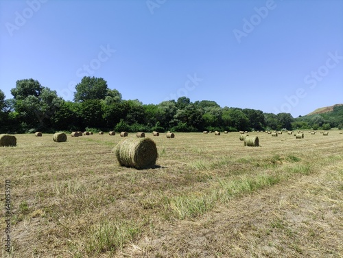 Twisted haystacks on the field