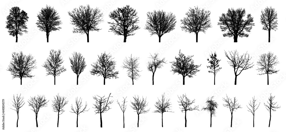 Bare deciduous trees silhouette, set. Beautiful different leafless trees.  Vector illustration