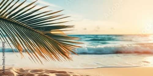 Natural background with palm leaves