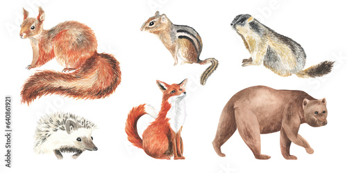 Clipboard set of watercolor hand drawn group of animal cliparts -squirrel fox, chipmunk, hedgehog, brown bear, groundhog. For design, interior, cards, package. © Elena