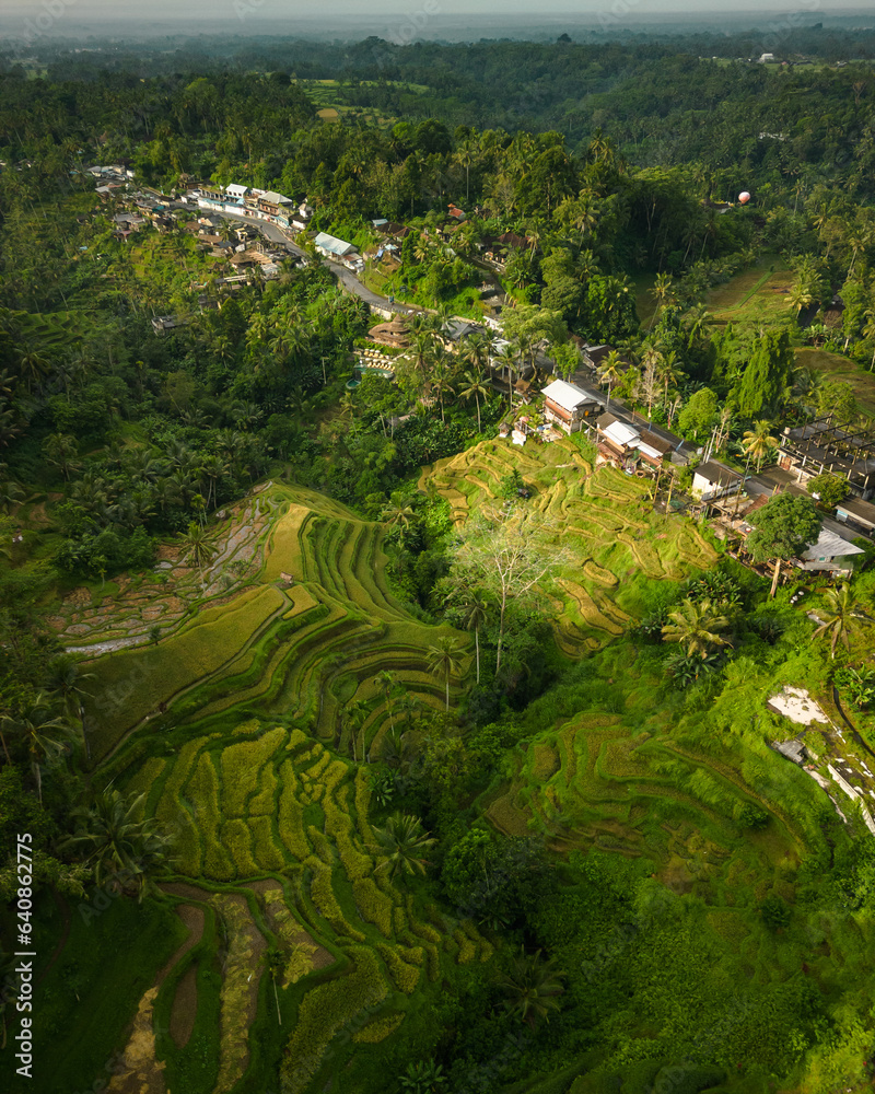 Aerial Serenity: Bali's Traditional Village and Tegalalang's Lush Green Rice Terraces. Explore Asia's Authentic Vacation Destination in Indonesia