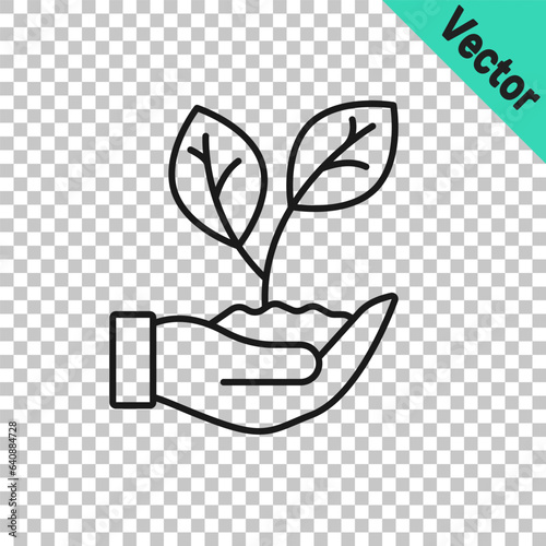 Black line Hand hold a leaf of the plant icon isolated on transparent background. Care nature. Leaf shoots with environmental protection. Vector