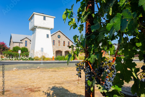 Sunny exterior view of the Silver Oak Napa Valley photo