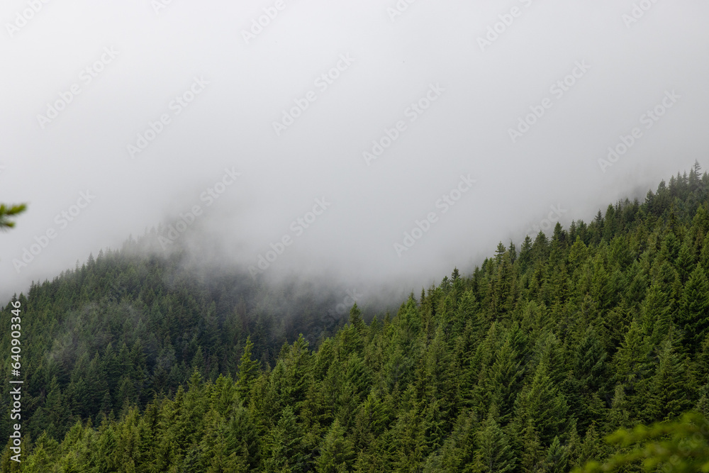 fog in the mountains fog in the mountains