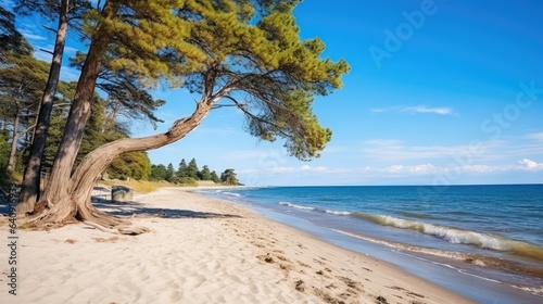 Incredible Beautiful Baltic...