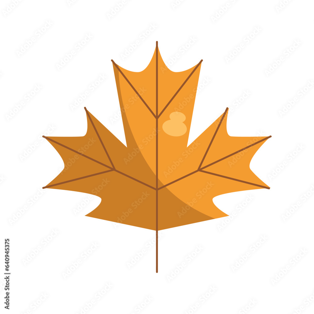 Obraz premium maple leaf illustration